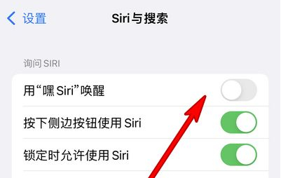 磐安苹果13维修分享iPhone 13怎么唤醒 Siri  
