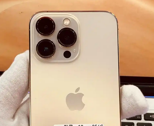 磐安苹果13维修中心分享如何在iPhone13上设置动态壁纸